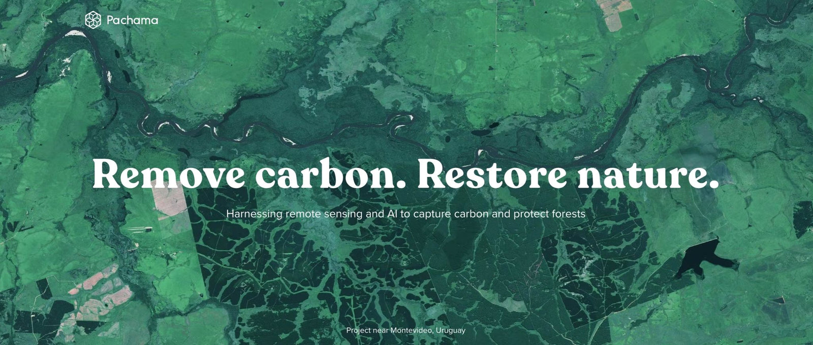 Offsetting carbon emissions generated through our e-commerce activity - Yunomi.life