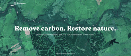 Offsetting carbon emissions generated through our e-commerce activity - Yunomi.life