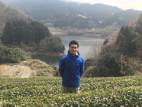 Tea Farm Mitocha: Preserving A Historical Folk Tea - Yunomi.life
