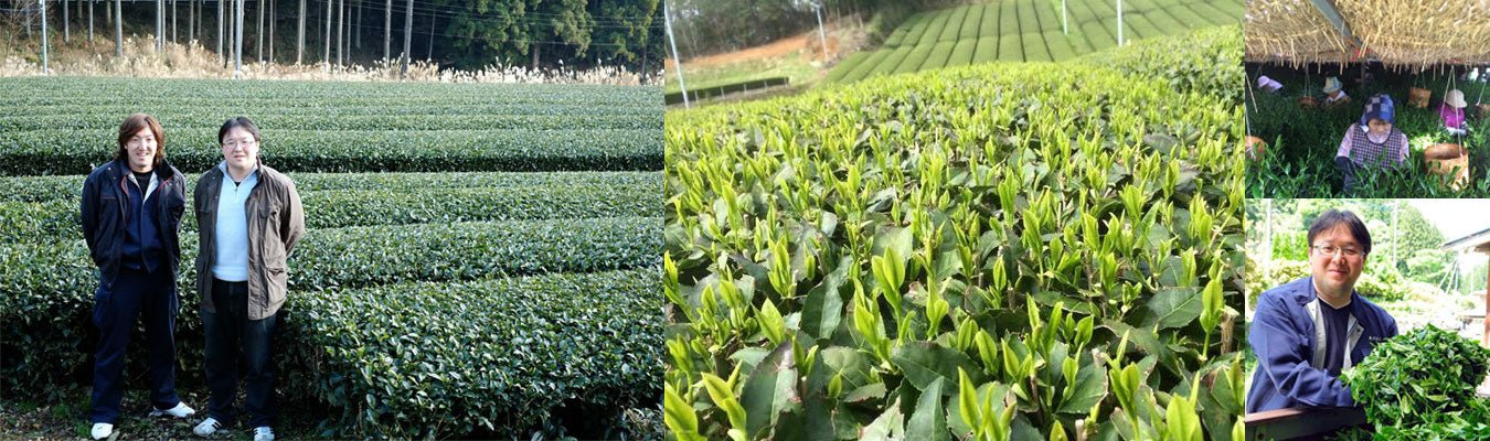 Kurihara Tea Farm - Yunomi.life