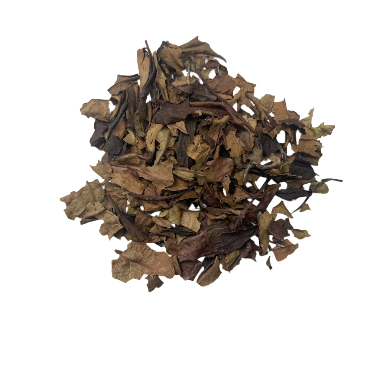 #0107.K6 あづま茶:京都産天然栽培春さみどり白茶(実験)さみどり白茶