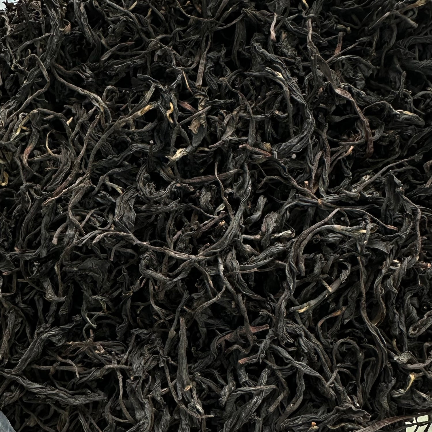 Studio Lesson - Tea Professional or Connoisseur Level - Personalized Deep Dive Into Japanese Tea