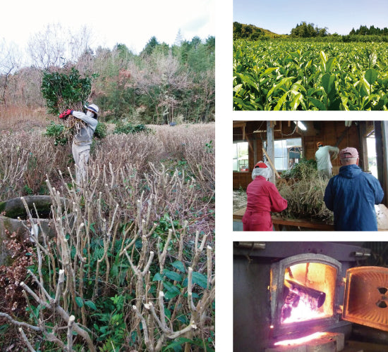 川上さんの真備寒茶 冬摘み薪焙煎茶