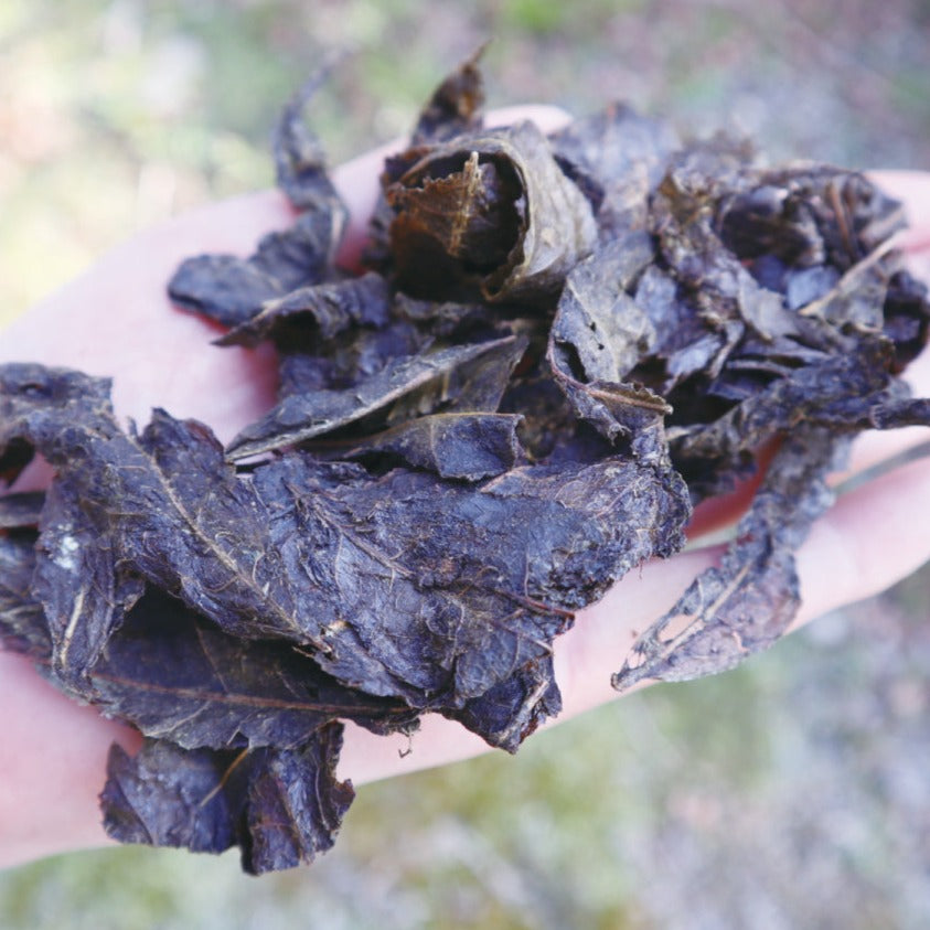 #0601.E1 石鎚黒茶(3年以上熟成) - 愛媛県産発酵黒茶 - EH002