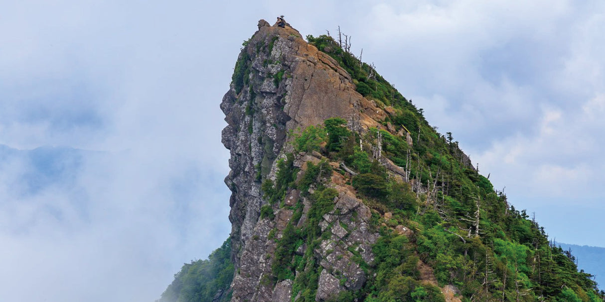 #0602.E1 石鎚黒茶 - 愛媛県産発酵黒茶 - EH001