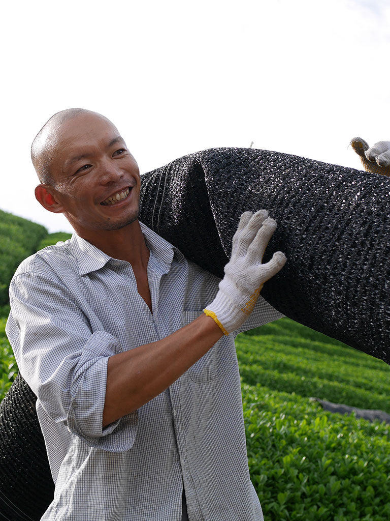 #0035.K6 おぶぶ:松葉和紅茶 京都紅茶