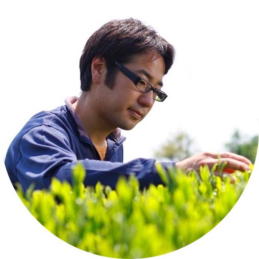 #0324.S2 Hiraoka Tea Garden: 2025 Shincha - Premium Grade Sencha "Sakura"【新茶】特上煎茶「桜」