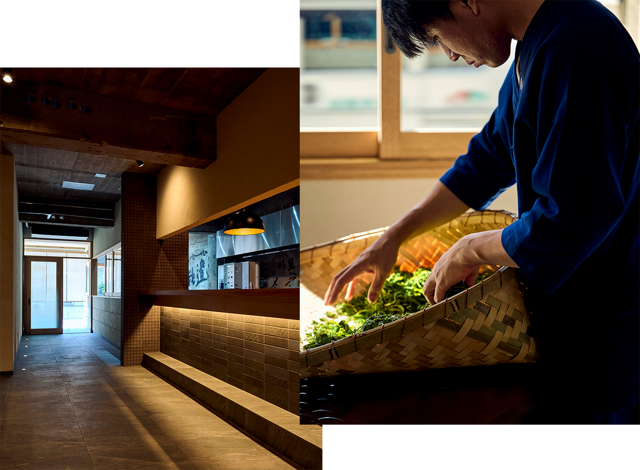 #0232.K2 中村梅沙:霧島煎茶Z1(単一品種)