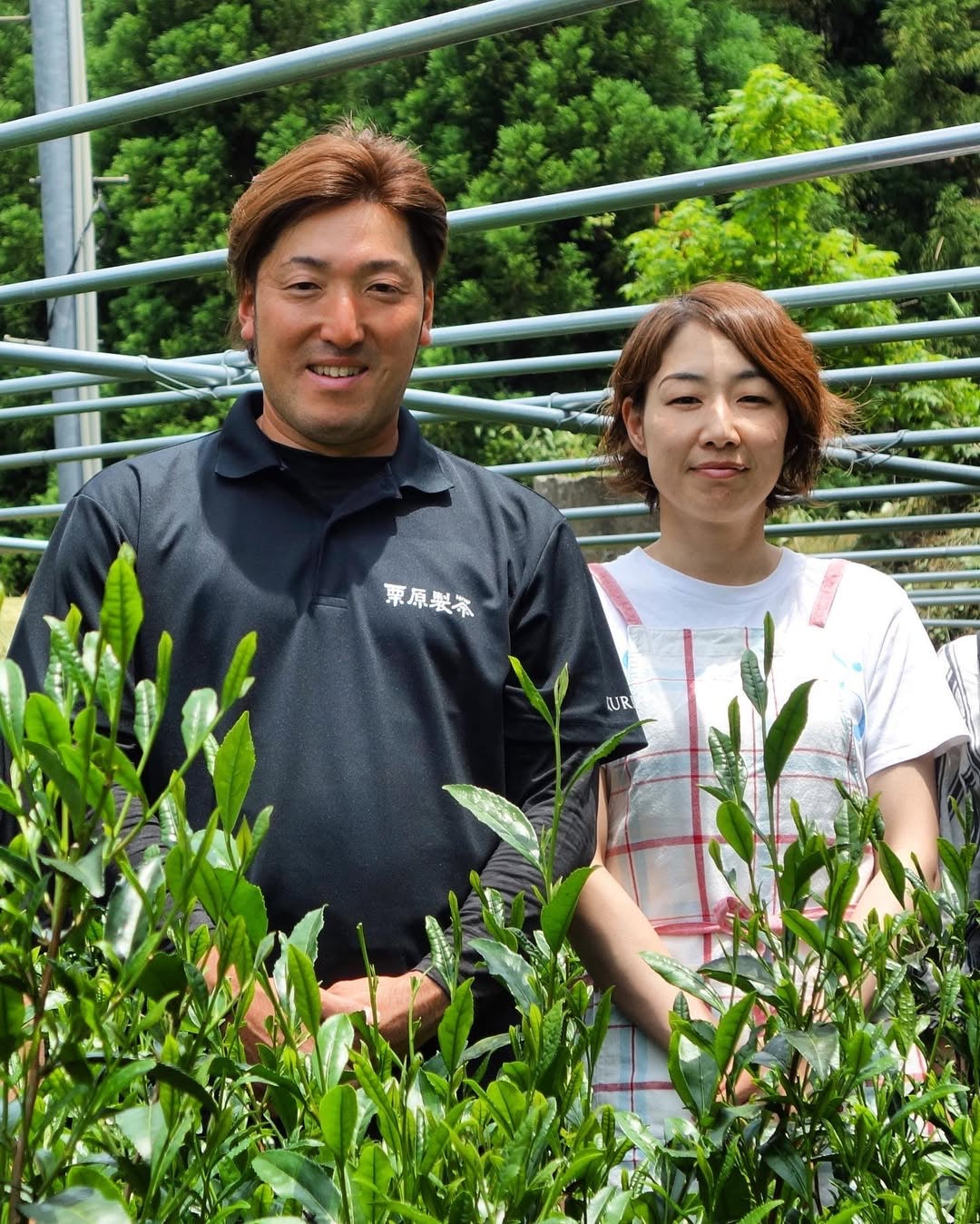 #0067.F2:奥八女玉露「心 -しん-」|栗原製茶