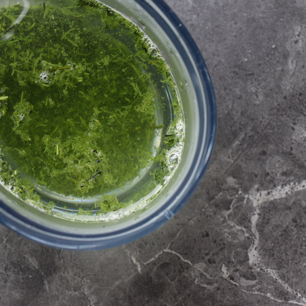 #0296.K2:鹿児島茶 新茶|古市製茶