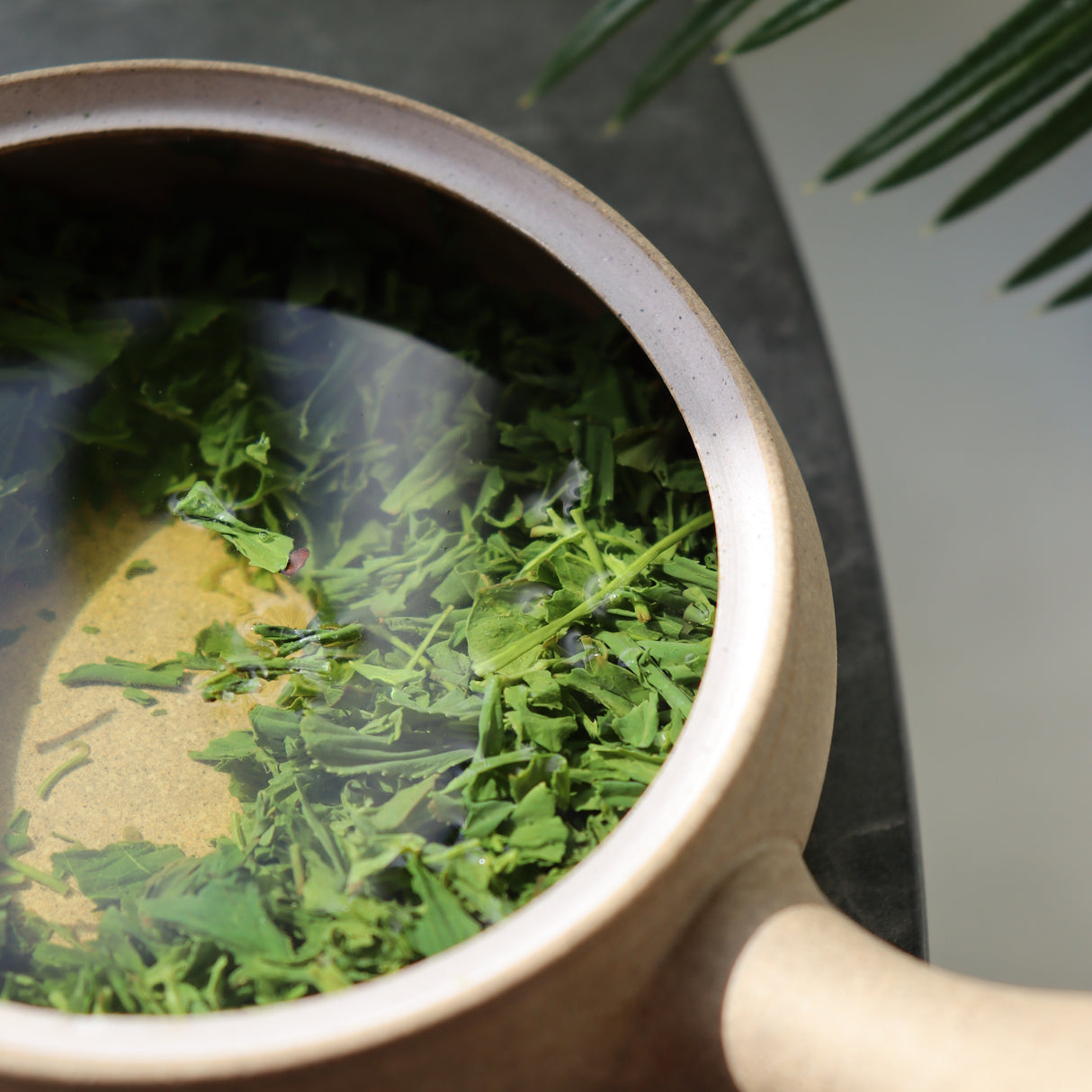 #0424.K2 古貴園茶園 浅虫かぶせ茶 ~川口姉妹の霧島茶 爽やかなひととき~ 極上のホッと一息