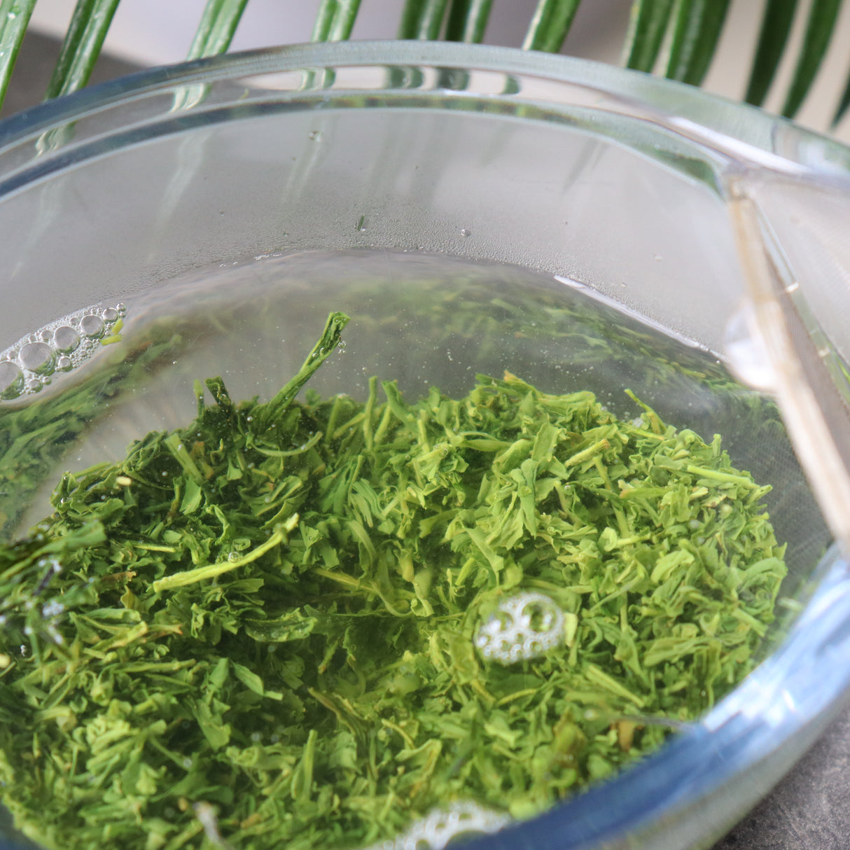 #0422.K2 古貴園茶園 浅虫かぶせ茶 ~川口姉妹の霧島茶 爽やかなひととき~ プレミアムホッと一息