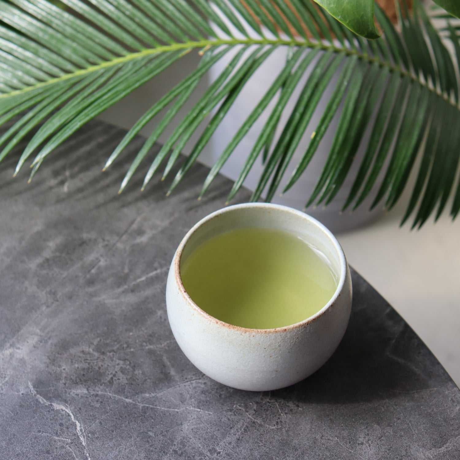 #0422.K2 古貴園茶園 浅虫かぶせ茶 ~川口姉妹の霧島茶 爽やかなひととき~ プレミアムホッと一息