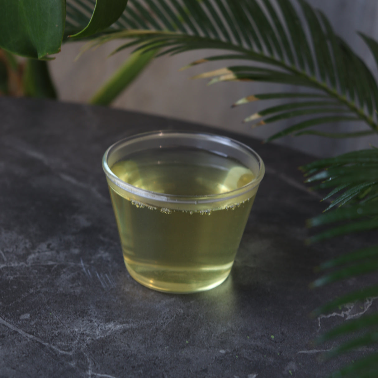 #0041.S5 NaturaliTea: 初摘みみどり走り新茶 First Flush Asamushicha 有機浅蒸し茶: 初摘みみどり