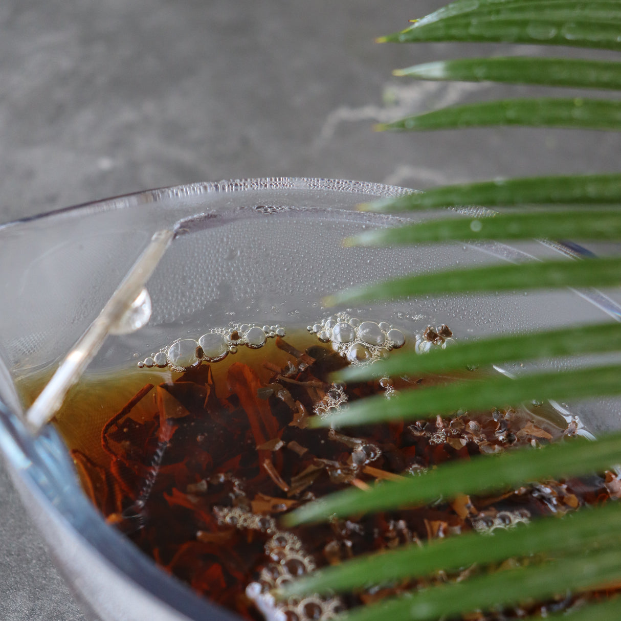 #0366.S5 兼六松本茶園:イチジクウッドスモーク紅茶 燻製紅茶 無花果