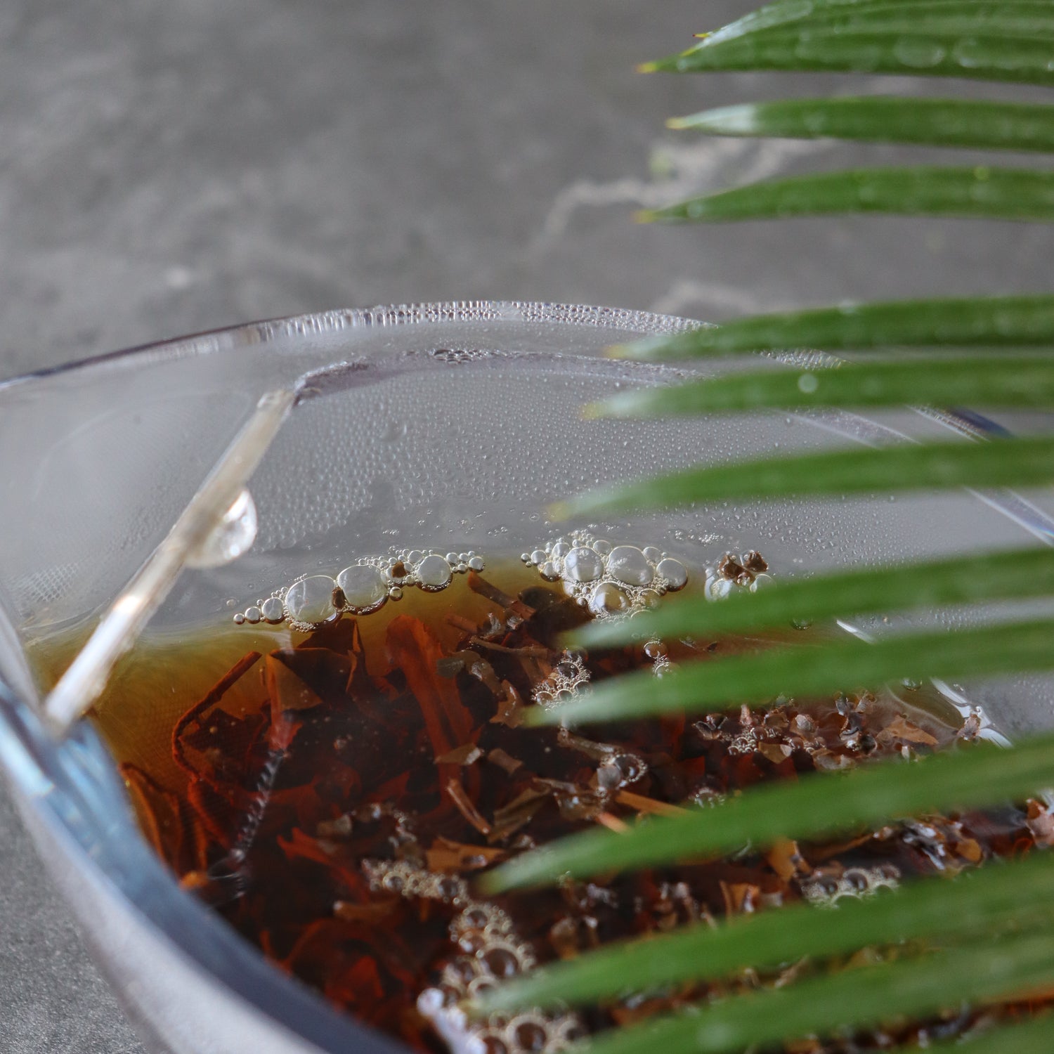 #0366.S5 兼六松本茶園:イチジクウッドスモーク紅茶 燻製紅茶 無花果