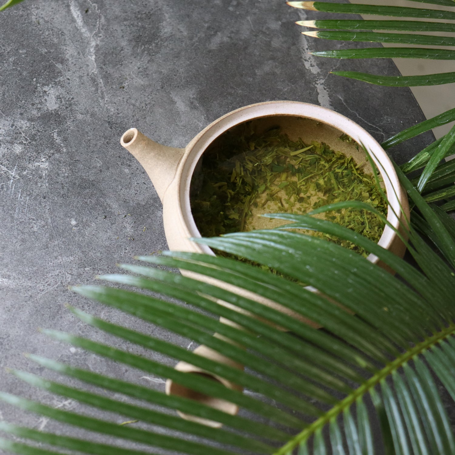 #0572.S5 Osada Tea: 新茶春煎茶緑茶 - 色花舞、おおはしり色香舞 (大走り)