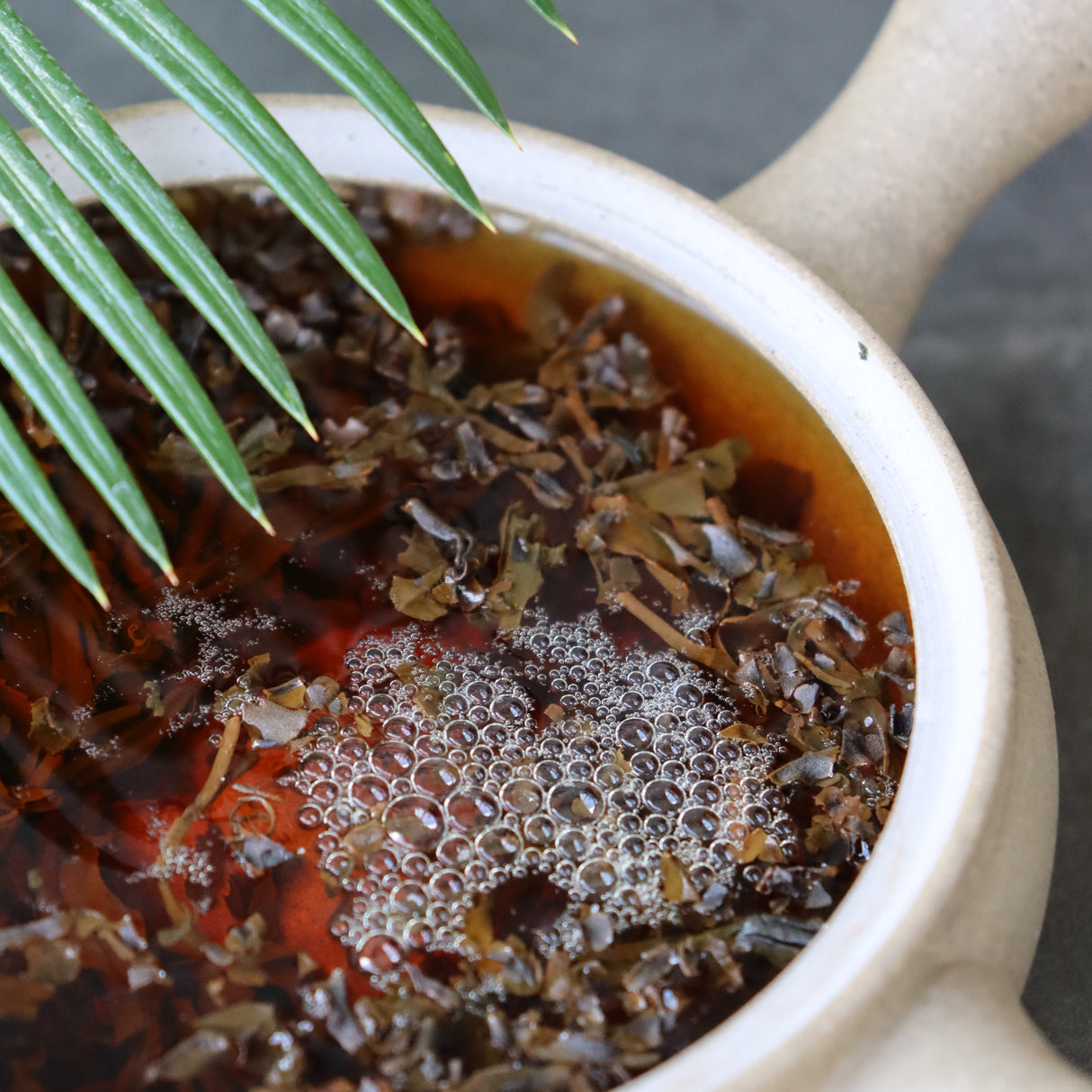 Studio Lesson - Tea Professional or Connoisseur Level - Personalized Deep Dive Into Japanese Tea