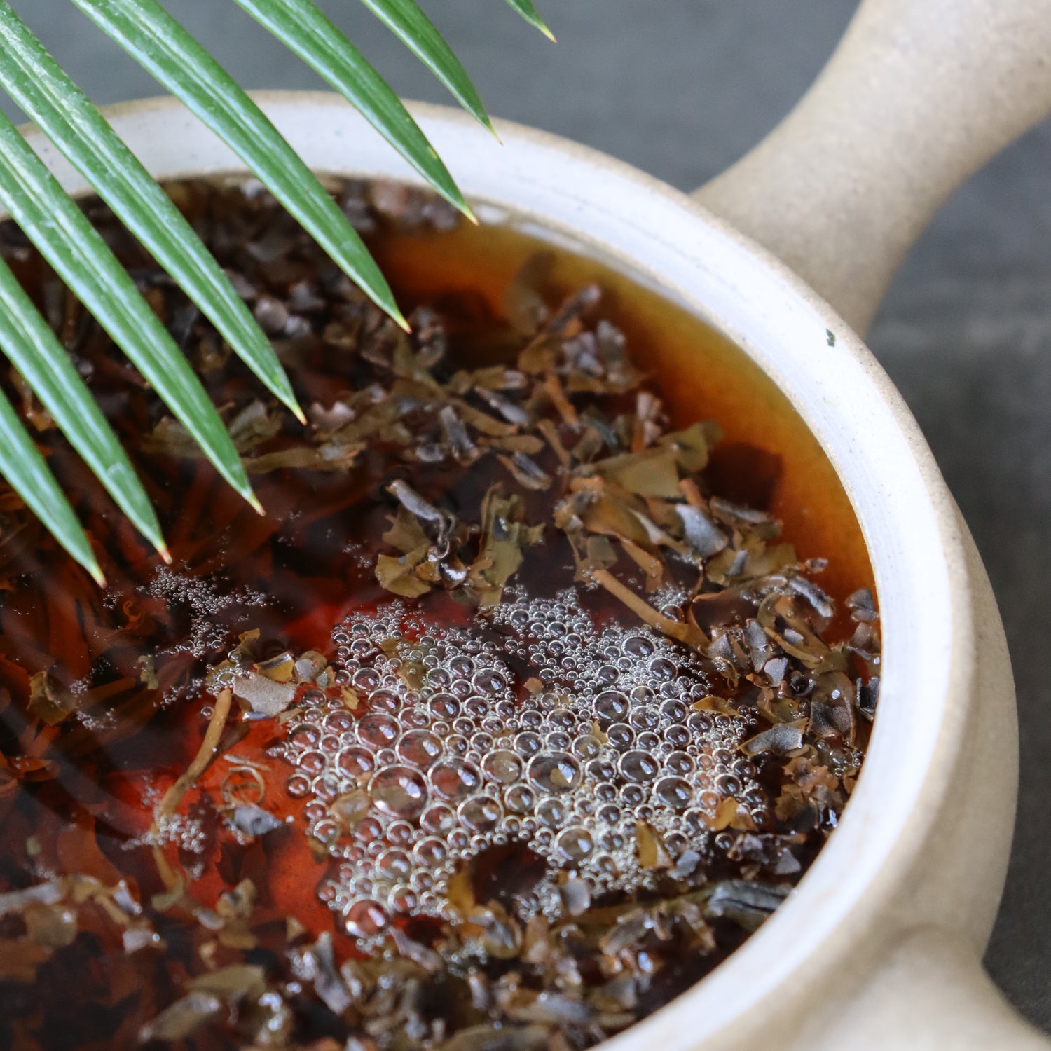 Studio Lesson - Tea Professional or Connoisseur Level - Personalized Deep Dive Into Japanese Tea