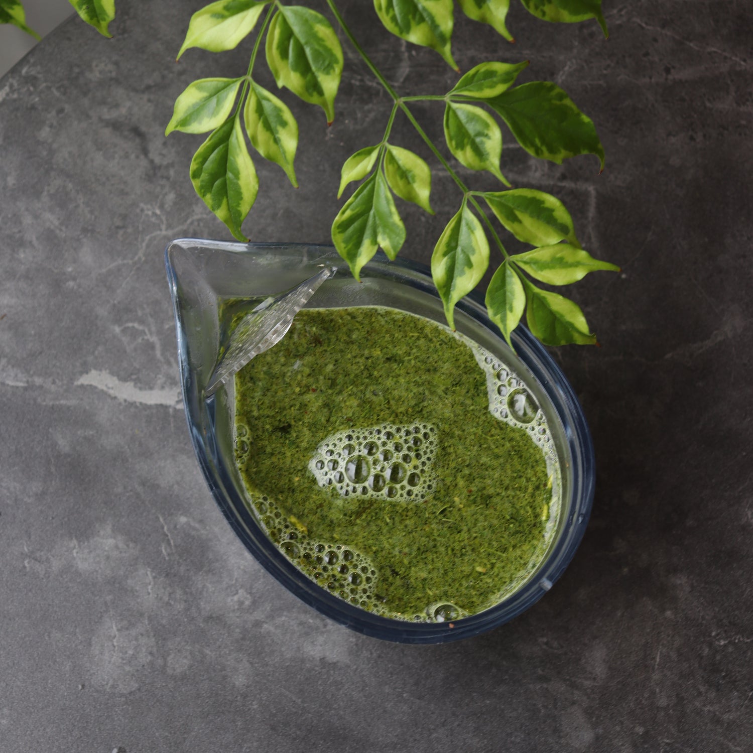 #0203.S5 土橋園茶 #10: 掛川シリーズ: 極上煎茶利休 煎茶利休