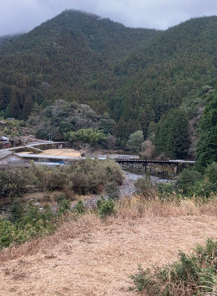 Shishikui Kancha Tokushiman prefektuurista - Farmer Akemi Ishimoton käsin valitsema