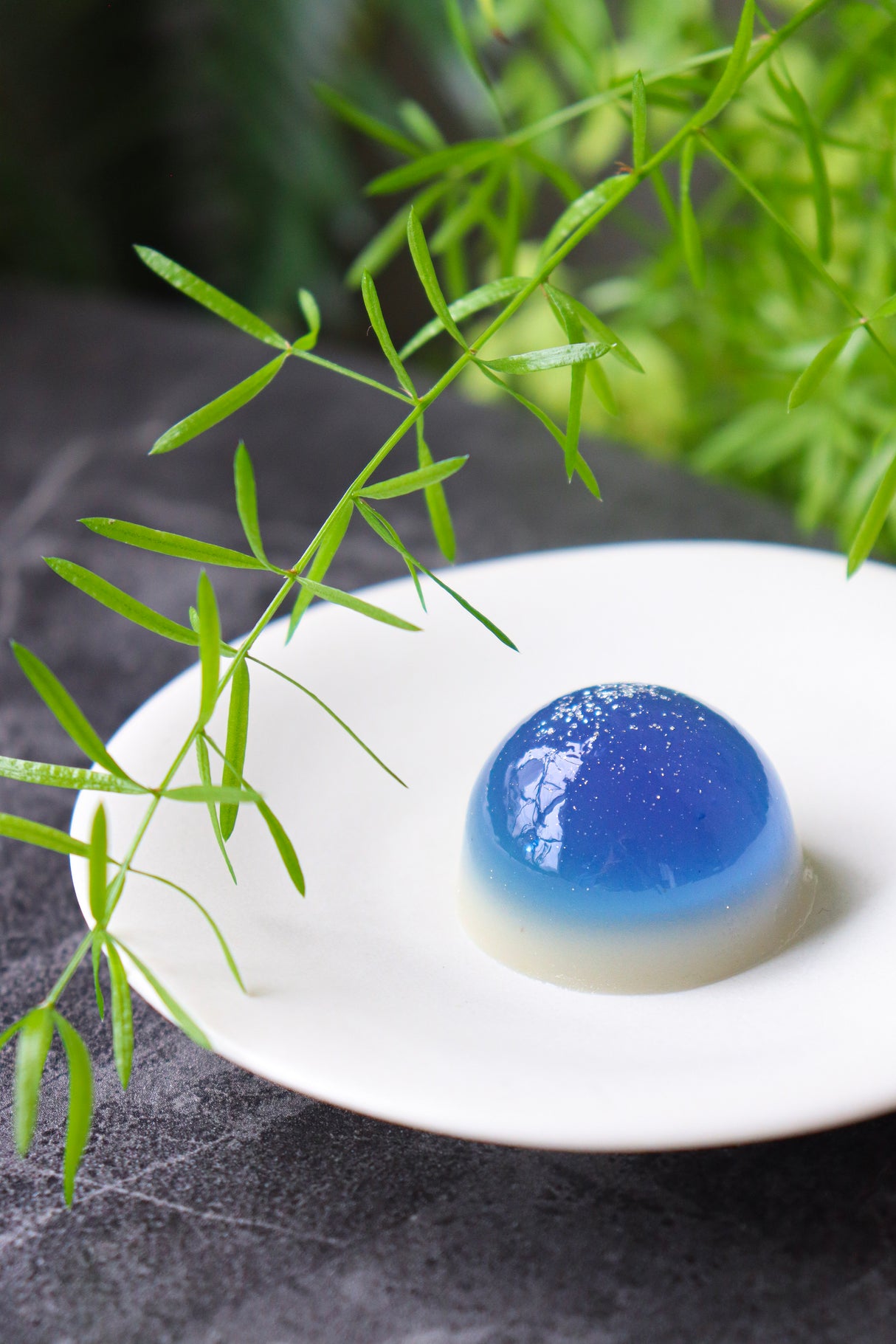 デュードロップ - 日本の寒天ゼリーキット(数量限定)