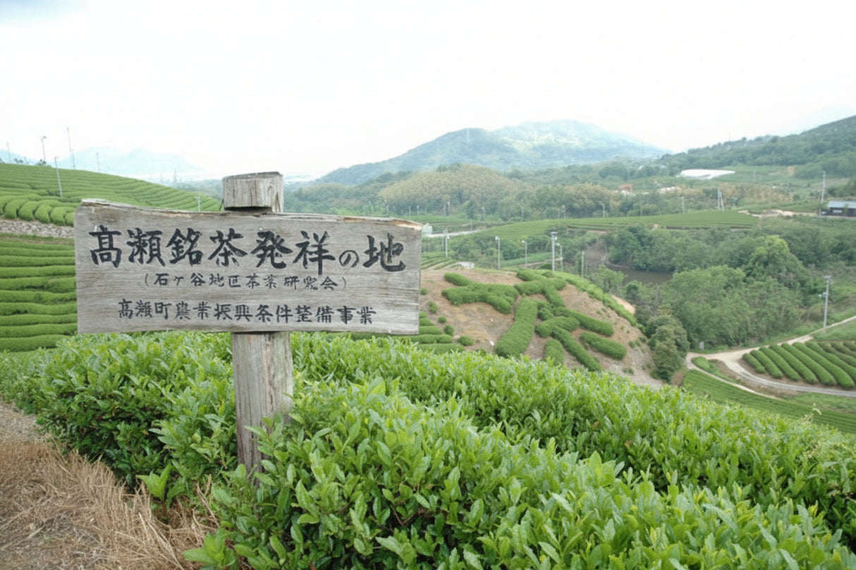 #1073.01 : 2026 Takase Tea Coop : Sencha "Takase" / 煎茶「高瀬」