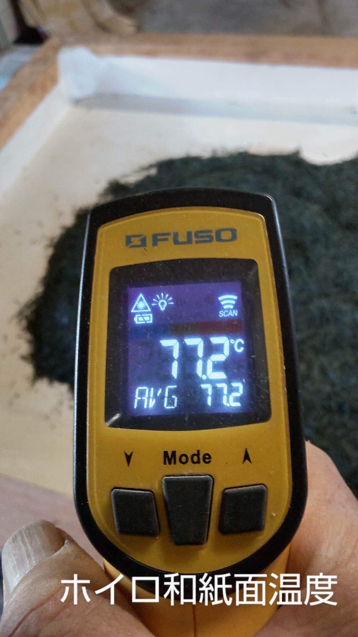 #0398.S5 ケインズティー: 2025 本酢 No. 5 - コンペティショングレード 静岡県川根産浅虫煎茶