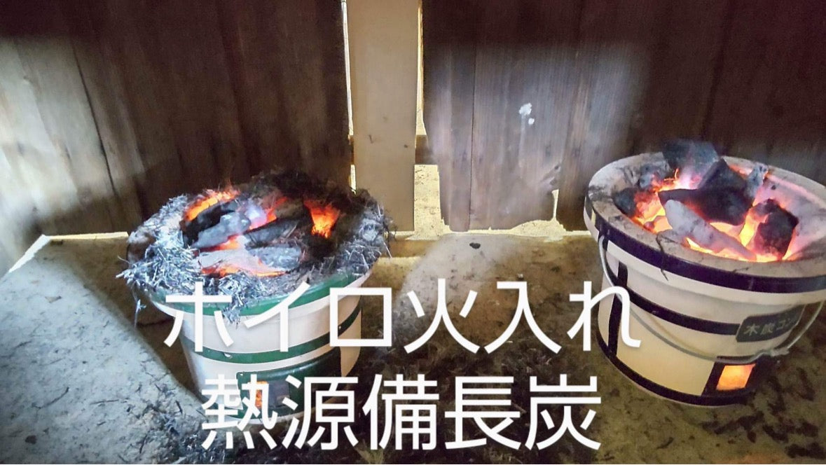 #0398.S5 ケインズティー: 2025 本酢 No. 5 - コンペティショングレード 静岡県川根産浅虫煎茶