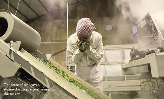 Matsuo Tea Garden processing