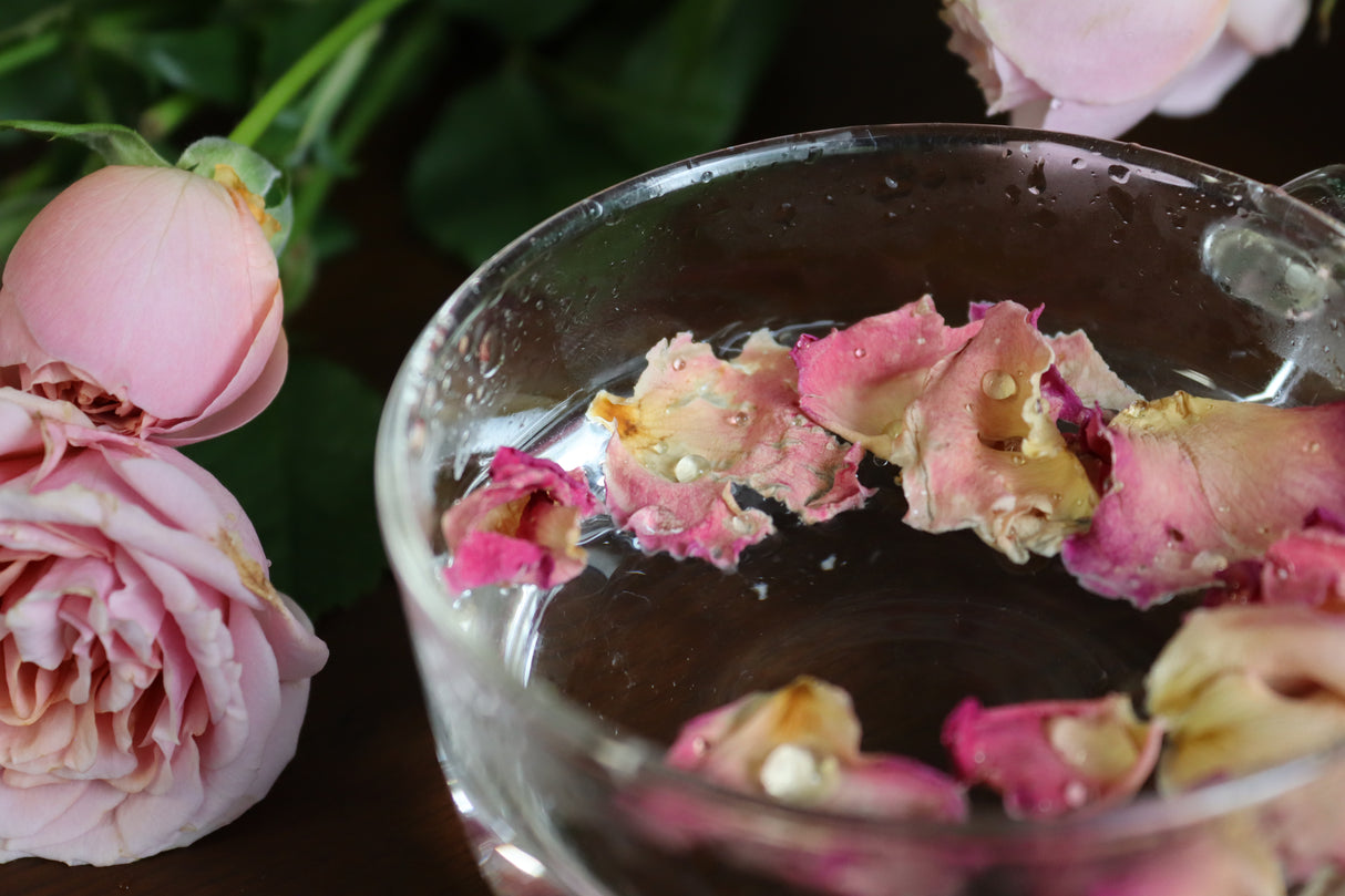 #0554.S4 奥出雲バラ園:バラの花びらハーブティー(アップルローズ)