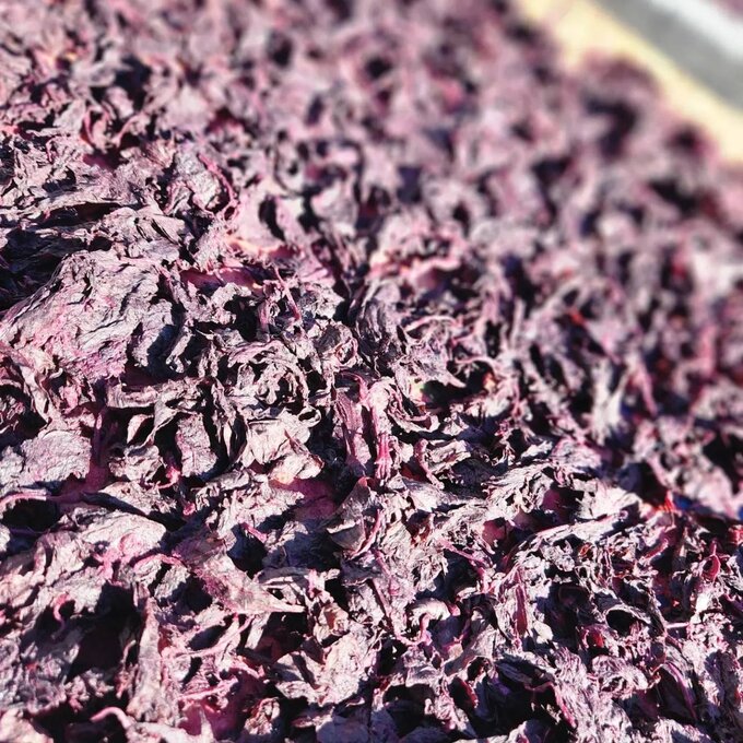 飯島清太郎商店 KN004: ゆかり - 天日干し大葉塩漬け ゆかり