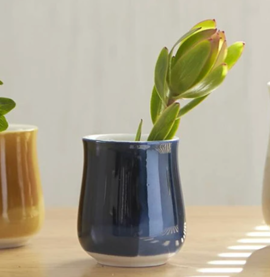 Miyama Minoyaki Oval Cup (musteensininen) ポット(インクブルー)