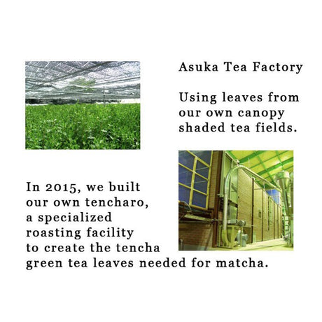 Asuka Tea Factory: Sayama Matcha, Myoushou Green 狭山抹茶明松 みどり - Yunomi.life