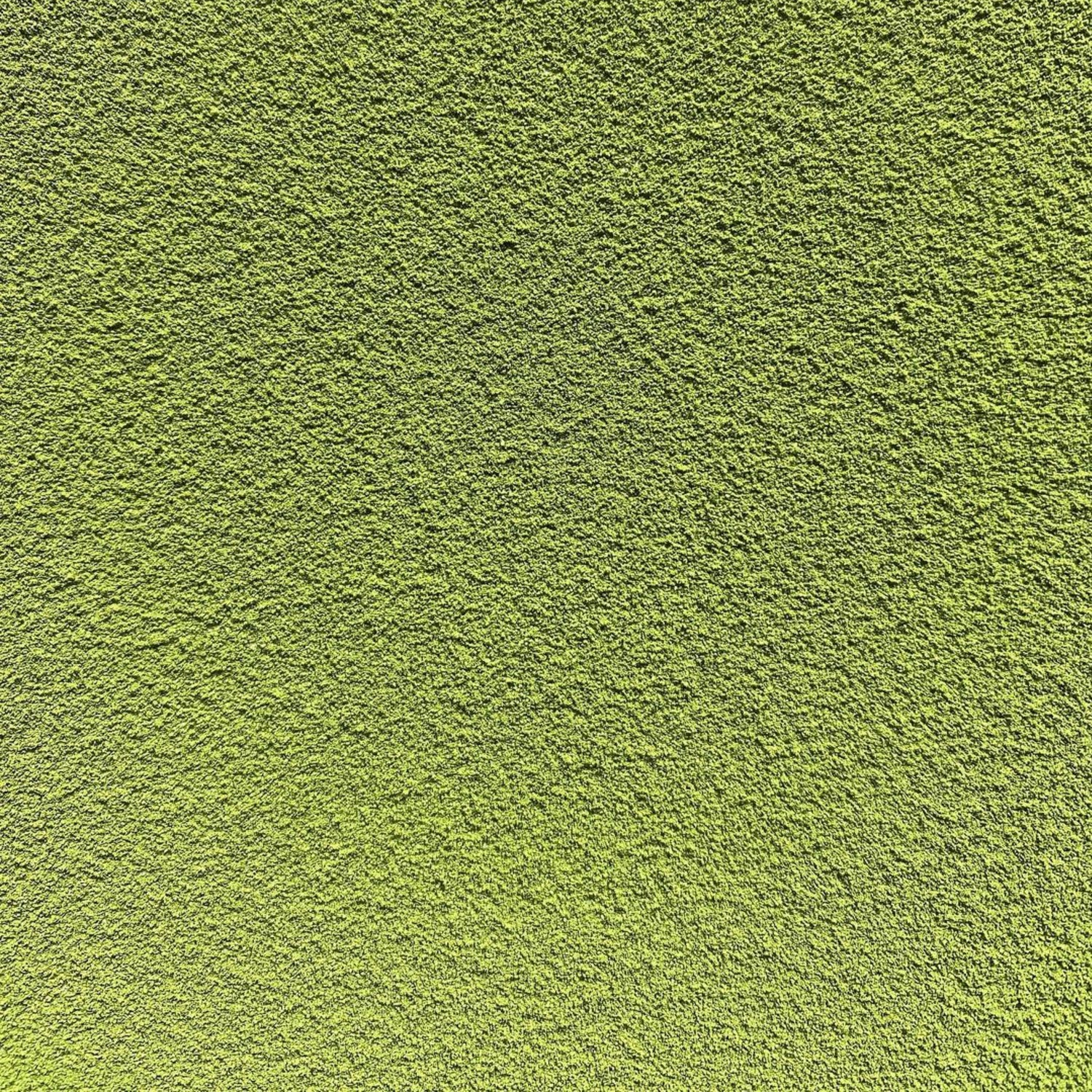 (2025 Not Available) #0515.K6 Nakai Tea Farm: Naturally Grown Uji Matcha Seisho (Samidori) Standard Ceremonial Grade 30g, Wazuka, Kyoto