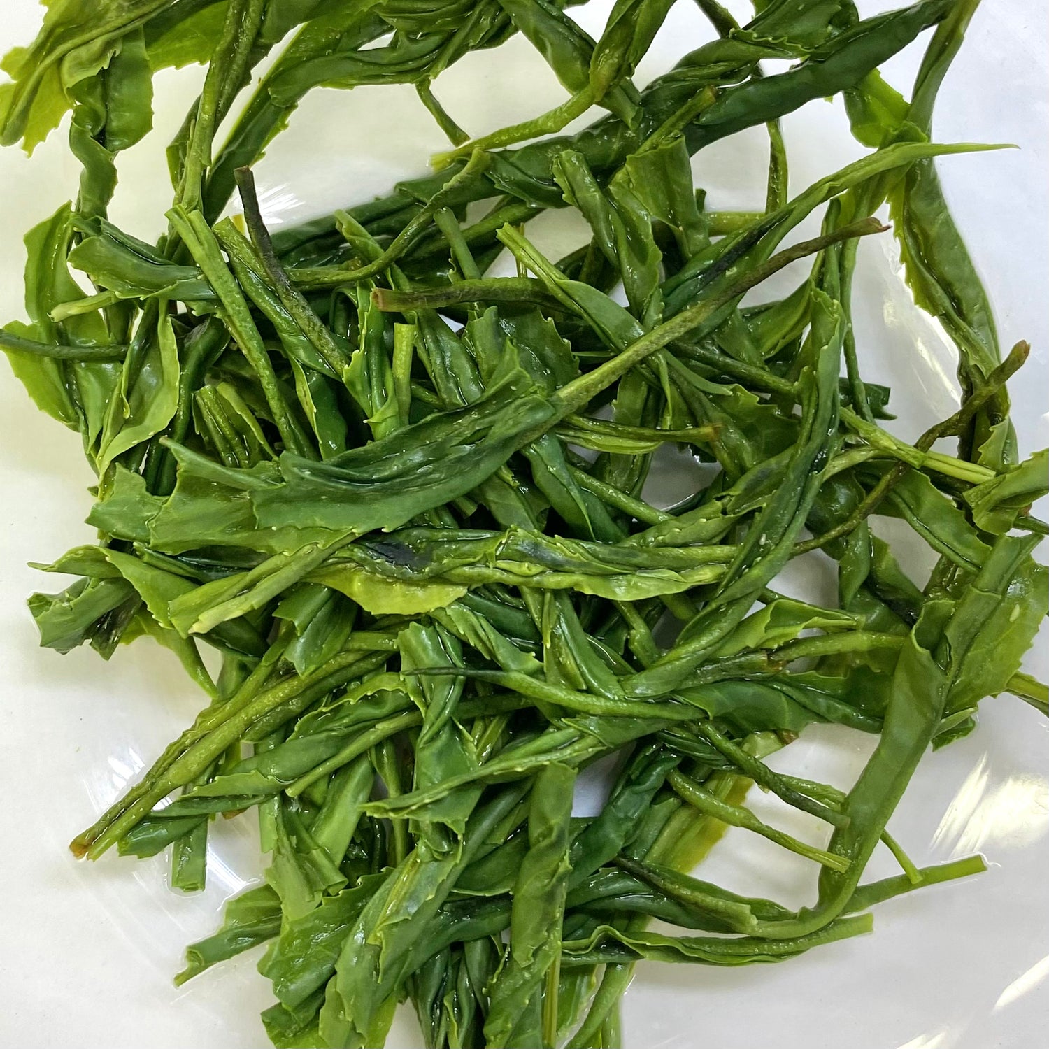 #0452.S5 伝説の茶手揉み師 隅田吉郎:全国茶手揉み大会2022 - 第8位受賞 やぶきた手揉み茶マイクロバッチ