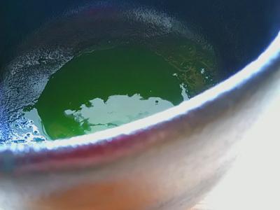 Kuma Tea Garden: Heritage Grade Yame Matcha Saemidori (20g) - Yunomi.life