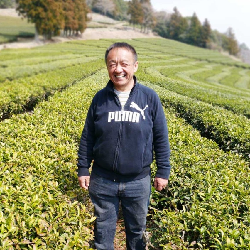 Tarui Tea Farm: Organic Sushi Restaurant Green Tea Powder - Yunomi.life