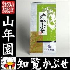 Yamane-en: 2022 Spring Kabuse Chiran, Kagoshima 知覧かぶせ - Yunomi.life