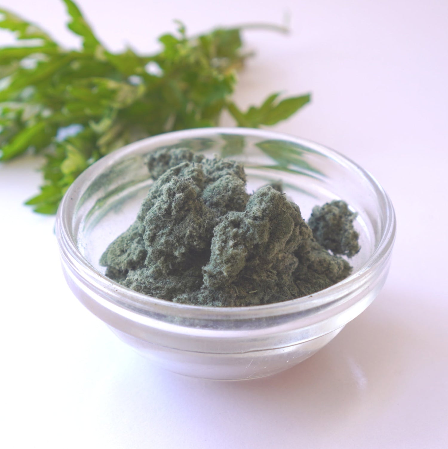 Yomogi (Mugwort) Powder from Aomori, Kyo no Kanbutsuya 京の乾物屋 青森産よもぎ使用よもぎ粉  - Yunomi.life
