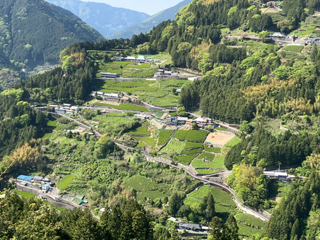 Discover: Teas of Tokushima Prefecture