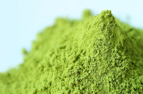 Matcha Storage and Quality