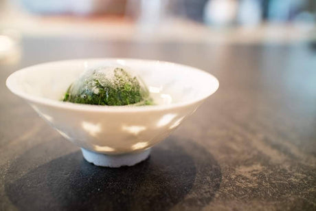 Ice steeping, the secret to making your Japanese tea more umami-full