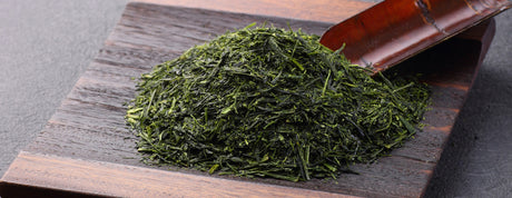 Sencha