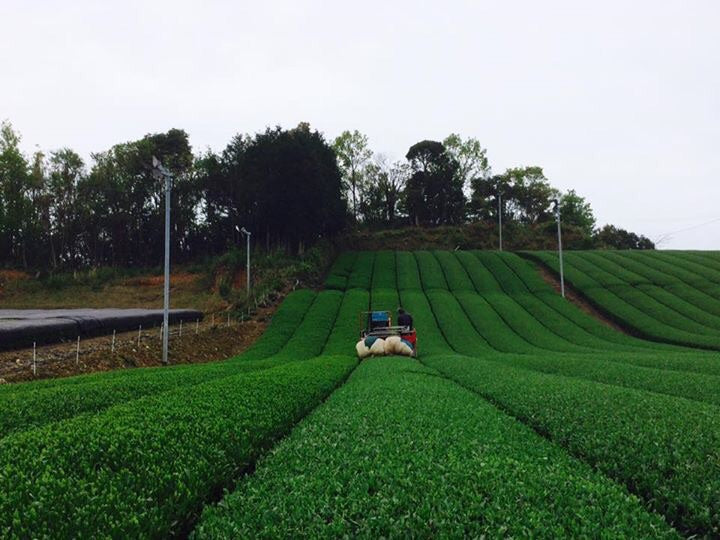 The Farmers of Japan