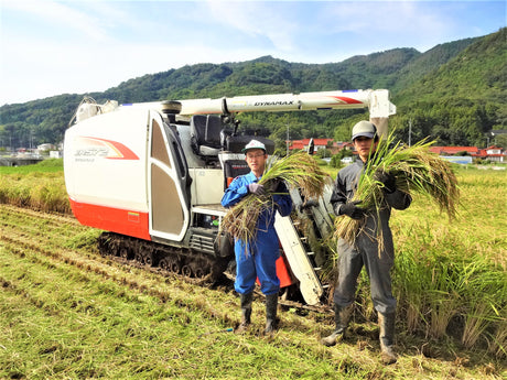 Sanwa Rice Farm