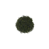 #1120 Saito Tea Garden: Yame Premium Sencha Kirari / 斉藤茶園：特選煎茶 きらり yunomi.lie