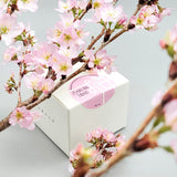 #0982.K2 Yunomi Matcha Naturally Grown - Sakurahime - Kagoshima Okumidori- Standard Ceremonial Grade