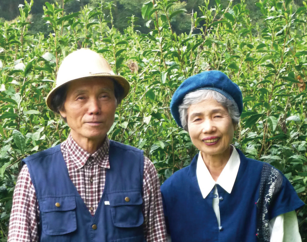 Kawakami-san's Makibi Kancha Winter Harvested, polttopuilla paahdettua vihreää teetä