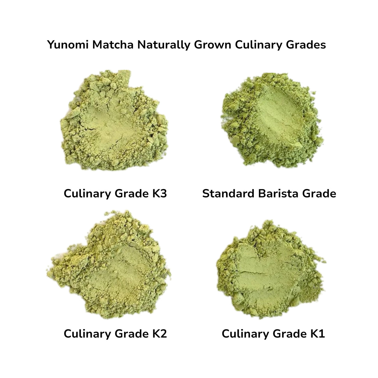 Studio Lesson - Tea Professional or Connoisseur Level - Personalized Deep Dive Into Japanese Tea